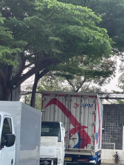In South Tangerang, Indonesia, on a cloudy day, two delivery trucks are parked on a street. The truck on the right is white with red and blue stripes and the "APM LOGISTICS" logo. The truck on the left is also white and appears to be a different model. Behind the trucks, a stone wall and some sparse vegetation are visible. Above the trucks, a large tree with lush green leaves provides shade, with power lines also visible amongst the branches. The scene appears to be an outdoor storage or staging area for logistics operations.