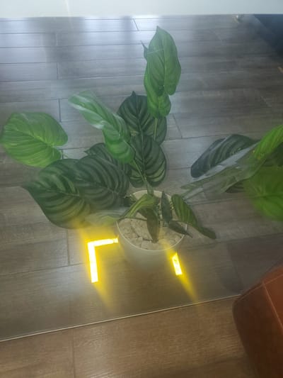 The image shows a potted plant with large green leaves on a tiled floor. There are two glowing yellow L-shaped markers on the floor near the plant. The floor appears to be made of wood-effect tiles. A brown leather chair is partially visible on the right side of the image. The lighting is dim, with bright light emanating from the markers. The environment appears to be indoors, possibly in a home or office setting. The location is identified as Gwagwada, Nigeria.
