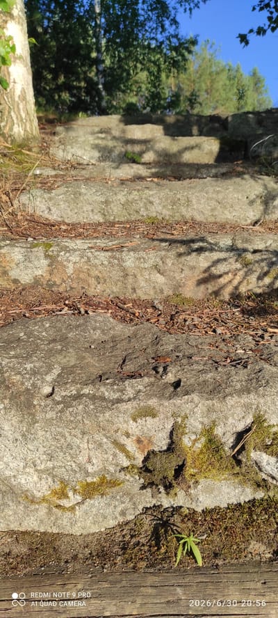 The image depicts a close-up, vertical view of a rocky, natural setting. The main subjects are large, textured rocks, some covered in patches of green moss and dry leaves. A section of rough, weathered wooden planks runs along the right edge of the frame. In the background, on the left side, lush green trees and a clear blue sky are visible, suggesting an outdoor environment.
The scene appears to be set in a natural landscape, possibly a forest or a rocky outcrop, with elements of both nature and man-made structures (the wooden planks). There is no specific activity or event taking place; the image is a still capture of a static scene.
Notable details include the dappled sunlight casting shadows on the rocks, indicating it is daytime. The clear blue sky suggests fair weather. The presence of moss and dry foliage points to a season likely late spring, summer, or early autumn. The wooden planks might be part of a path, fence, or structure bordering the natural area.
Visible text includes a watermark in the bottom right corner: "REDMI NOTE 9 PRO AI QUAD CAMERA" and a date and time stamp: "2026/6/30 20:56". The location context provided is Hartola, Finland.