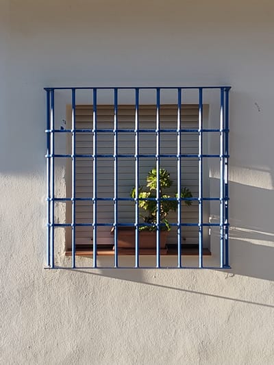 A vibrant blue metal security grill covers a recessed window set into a textured, off-white wall. The window itself is obscured by a light-colored, closed roller shutter (persiana), indicating an interior room. On the windowsill, positioned behind the blue bars, a lush green succulent plant, possibly an Aeonium, thrives in a terracotta-colored pot.
The metal grill consists of a uniform grid of vertical and horizontal bars, painted in a bright, almost cerulean blue. Small, rounded decorative elements can be seen where the bars intersect. The wall exhibits a coarse, stucco-like texture, painted in a warm, cream or off-white tone.
The scene is illuminated by strong, directional sunlight, suggesting either early morning or late afternoon. This is evidenced by the distinct, elongated shadows cast by the window bars onto the wall below and to the right of the window. Parts of the wall to the right are also in shadow, while the upper and left sections appear brightly lit. No people or specific activities are visible. The architecture, including the style of the security bars and the roller shutter, is characteristic of Mediterranean regions like Rotes, Spain. There is no visible text within the image.