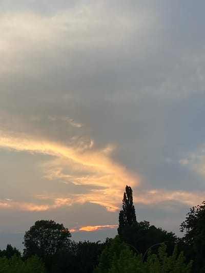 This is a vertical, eye-level, full shot of a sunset over Rinteln, Germany. The sky is filled with clouds. The left side of the sky has a bright orange and yellow streak where the sun is setting. The right side of the sky is a darker gray. A tall, thin tree is in the center of the frame, silhouetted against the sky. Dark green trees and foliage fill the bottom of the frame, with a hint of a streetlamp in the lower middle. The overall mood is tranquil.