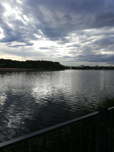 The image depicts a serene lake scene with a dark, cloudy sky overhead. The water's surface is rippled, reflecting the diffused light from the sky. Along the far bank of the lake, a dense line of green trees forms a natural border, with some buildings visible in the distance, suggesting a proximity to an urban area. In the foreground, a dark metal railing runs across the bottom of the frame, partially obscuring a patch of tall green grass. The overall atmosphere is calm and somewhat somber, characteristic of an overcast day. The location is identified as Kolpino, Russia, specifically the area around the Izhora River. There are no people or active subjects visible in the scene, emphasizing the natural and tranquil aspect of the environment.