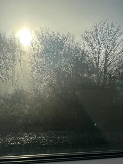 The image depicts an outdoor, rural scene in Bathampton, United Kingdom, characterized by dense fog or haze under a diffuse sun. The upper left quadrant features a brilliant, circular white-yellow light source, identified as the sun, largely obscured by atmospheric conditions and bare tree branches. The sky is a uniform pale grey.

The midground and background are densely populated with numerous deciduous trees, uniformly bare of foliage, their intricate branch structures silhouetted against the bright, misty sky. Below the main tree canopy, a layer of thick undergrowth, also appearing largely defoliated, extends across the lower portion of the vegetation zone. The ground directly beneath the vegetation is dark, possibly consisting of soil or scattered detritus, with some lighter, irregular patches possibly indicating frost or moisture reflecting light.

The extreme foreground is marked by a dark, horizontal rectilinear element spanning the width of the frame, consistent with a window sill or frame, indicating the photograph was captured from an interior perspective. A distinct, small green lens flare is present in the lower right quadrant. No human subjects, animals, or discernible actions are present in the scene.