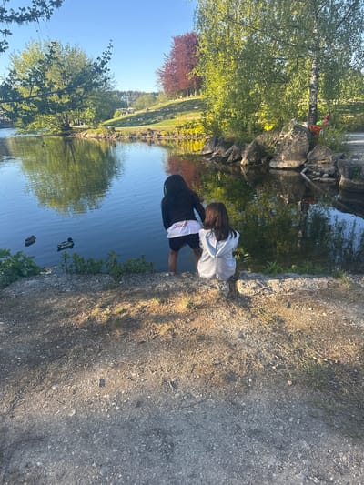 Two individuals are near a body of water. One individual, dressed in black, is next to another individual wearing a light-colored garment. Ducks are visible in the water. The environment is outdoors with greenery and rocks present. This is the city of Ulm, Germany.