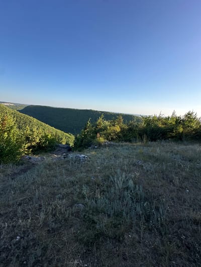 The image depicts a panoramic view of a lush green valley under a clear blue sky. In the foreground, a grassy slope is covered with dry grass and scattered rocks, with some bushes and small trees on the left and right edges. The middle ground reveals the undulating terrain of the valley, densely covered with trees, their canopies forming a rich green carpet. The valley appears to be carved by a natural geological formation, with steep slopes on either side. In the distance, the horizon is marked by a line of further hills and the faint outline of distant buildings, possibly indicating a settlement. The lighting suggests it is either early morning or late afternoon, with the sun casting soft shadows and illuminating the landscape with a warm glow. The overall impression is one of natural beauty and tranquility.