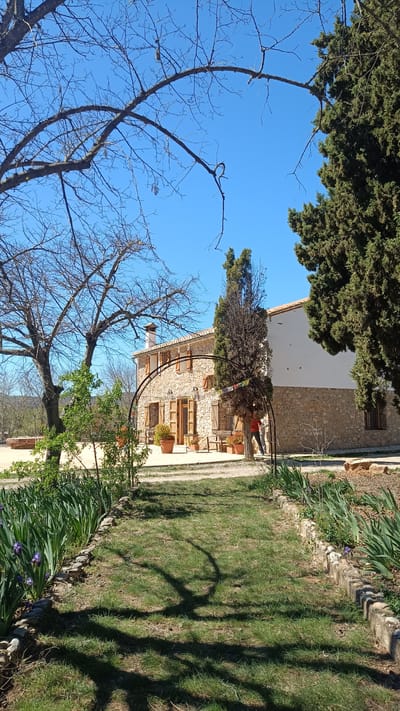 The image shows a stone building in Jérica, Spain, under a clear blue sky. The building has a terracotta roof, wooden shutters, and a chimney. A stone archway leads to the entrance of the building. The foreground features a grassy path bordered by stone edges and flower beds with irises. The shadows of trees fall across the path. Bare-branched trees and lush evergreens surround the building. A small courtyard with potted plants and benches is visible in front of the building. One person is visible in the scene.