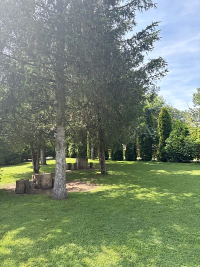 This image presents a serene outdoor landscape, likely a park or a well-kept garden, located in Pavlikeni, Bulgaria. The scene is dominated by a collection of tall evergreen trees, specifically conifers, with dense green foliage and visible textured trunks. These trees line a substantial expanse of vibrant, lush green grass.
The ground is covered by the neatly maintained grass, which is brightly lit by direct sunlight. The sun's position, likely late morning or early afternoon, is evidenced by the distinct, elongated shadows cast by the trees across the grassy area. The sky above is a clear blue with a few faint, wispy white clouds, indicating fair weather.
Scattered among the trees and on the grass, several large, natural wooden log sections are visible. These logs appear to be cut tree stumps or sections of trunks, possibly arranged to serve as rustic seating or decorative features within the landscape. No people are present in the image, and no specific activity is taking place, contributing to a tranquil and peaceful atmosphere. There is no visible text within the scene.