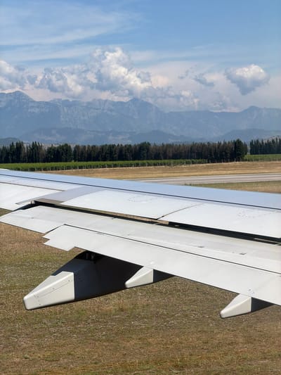 A close-up, low-angle shot from an airplane window shows the wing and fuselage extending forward and slightly down. The wing is a light gray color with visible rivets and panels. In the background, a tree line of dark green conifers separates a dry, yellow-brown grassy field from a vineyard with green rows. Beyond the trees, a hazy range of blue-gray mountains stretches across the horizon under a bright sky with scattered white clouds. The scene appears to be a daytime aerial view of the landscape near Donja Cijevna, Montenegro, possibly during takeoff or landing, given the position of the wing flaps.