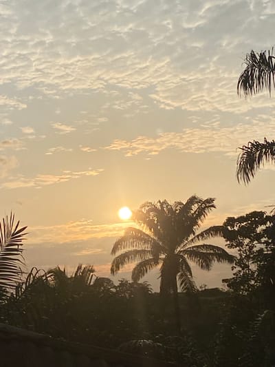 This is a photograph of a sunset over Ufu Esioni, Nigeria. The sun is a bright orb, partially obscured by clouds and palm trees. The sky is a pale orange and yellow, with wispy clouds. In the foreground, there are several palm trees silhouetted against the sky. The overall scene is tranquil and serene.
