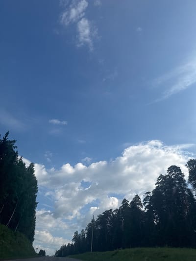 The image displays a daytime outdoor scene dominated by a clear blue sky and clouds, framed by tall trees and a partial view of a road. The sky, a vibrant blue, occupies the left and upper-central portions of the frame. White and grey cumulus and stratocumulus clouds are prominent on the right side, extending from the top to the bottom, with some lighter, wispy clouds scattered against the blue.

Numerous tall, dark green coniferous trees, likely pines, line the right and bottom edges of the image, creating a strong contrast with the bright sky and clouds. Their dense canopies are silhouetted against the bright background. A narrow dark strip on the far right, potentially an asphalt or dirt road, runs alongside a patch of green grass or vegetation.

The scene appears to be set during the day, likely mid-day, given the intensity of the light. The weather is sunny with significant cloud cover. There are no people, animals, or man-made objects other than the road visible in the frame. No discernible text is present. The landscape suggests a forested area or a road passing through a forest, consistent with the given location context of Otchor, Russia.