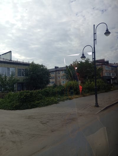 The image shows a street scene in Sol-Iletsk, Russia, under a cloudy sky. In the foreground, a dirt path with tire tracks runs alongside a paved road. To the left, a dense thicket of green bushes and trees obscures the lower parts of two apartment buildings. The buildings themselves appear to be multi-story structures, one with a light-colored facade and multiple windows, and another behind it constructed of brick. A streetlamp with two lights stands on the right side of the image, casting a shadow on the road. The overall impression is of an overcast day in a residential area.