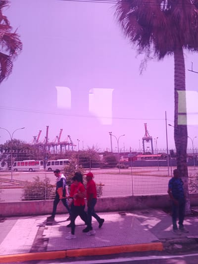 In Maiquetía, Venezuela, a street scene unfolds with a prominent palm tree on the right, its fronds obscuring a section of the purple-hued sky and cityscape. In the mid-ground, a chain-link fence separates the foreground walkway from a road where two white buses are parked. Beyond the buses, a port area is visible, characterized by numerous large red and white cargo cranes. Four individuals are walking on the sidewalk in the foreground, moving from left to right. One person, wearing a blue and white shirt and dark pants, carries a yellow bag. Three others are dressed in red tops and dark pants. To the far right, a man in a blue patterned shirt and dark pants stands on the sidewalk. The overall lighting suggests daylight, with reflections from a window or glass surface superimposed on the scene, contributing to the purple tint.
