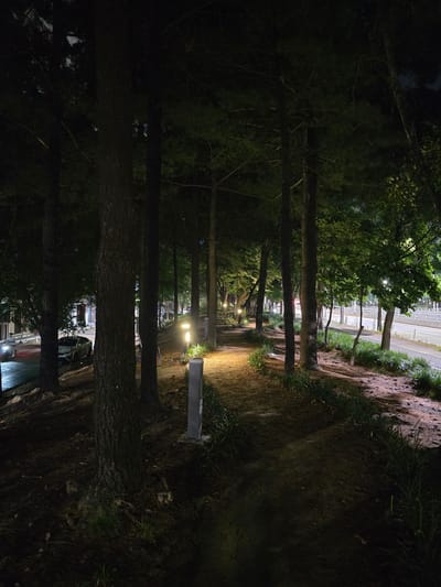 The image depicts a dimly lit path lined with trees at night, alongside a road with streetlights. In the background, a white car is parked on the side of the road, and a person on a motorcycle is visible passing by. The path appears to be made of dirt and pine needles, with sparse grass growing along the edges. Several modern-looking lampposts are intermittently placed along the path. The scene is set in a semi-urban environment, possibly a park or a residential area, within the city of Daejeon, South Korea, given the overall atmosphere and visible urban elements.