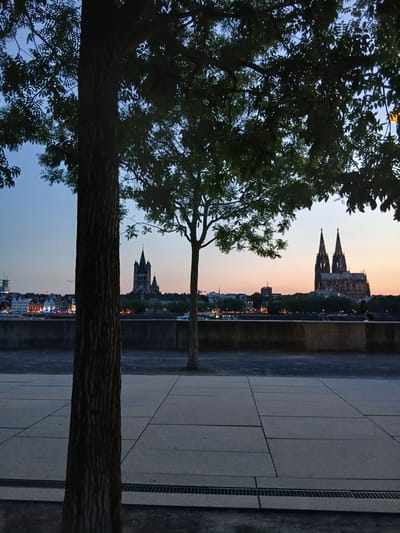 The image shows a dusk view of the Cologne skyline from across the Rhine River. In the foreground, the dark, textured trunk of a tree dominates the left side of the frame, with its branches and leaves silhouetted against the pale, gradient sky. To the right, a second, thinner tree trunk is visible, also partially obscuring the background.
The middle ground features a stone embankment with a paved walkway in front of it. Beyond the embankment, the city of Cologne spreads out. Prominently visible are two iconic church spires, the Cologne Cathedral, with its distinctive Gothic architecture, and another large church with a single spire to its left. The skyline is dotted with other buildings, some of which are illuminated with warm, colorful lights, suggesting the city is beginning to light up for the evening. Several boats are visible on the Rhine River. The sky transitions from a pale blue at the top to a soft orange-pink near the horizon, indicating either sunrise or sunset. A few indistinct figures can be seen on the far side of the river, and a single person is visible sitting on the embankment on the right side of the frame. The overall atmosphere is serene and somewhat muted due to the low light conditions.