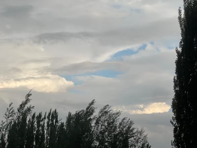 The image shows a cloudy sky over a natural landscape in the city of Kyzyl-Too, Kyrgyzstan. The sky is filled with a mix of gray and white clouds, with some patches of blue sky visible. In the foreground, there are silhouetted trees. The trees on the left are dense and appear to be swaying in the wind, with their leaves and branches creating a textured silhouette against the sky. On the right side of the image, a tall, slender tree trunk is prominently featured, also in silhouette. The overall impression is of a natural scene under a dynamic sky, possibly on a windy day.
