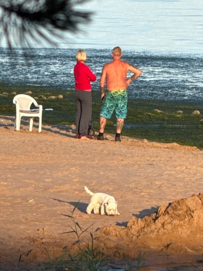Two adults and a small white dog are on a sandy beach with the Baltic Sea in the background. A woman with blonde hair is wearing a red jacket and dark pants. A man with short blond hair is shirtless and wearing patterned swim trunks. The dog is in the foreground, facing down with its head lowered. A white plastic chair is visible to the left of the people. The scene is illuminated by natural light, suggesting it is either early morning or late afternoon. This location is consistent with the coastline of Shepelevo, Russia.