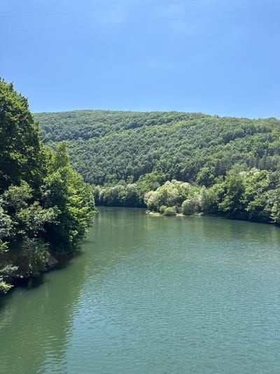 This is a wide-angle, eye-level shot of a tranquil body of water, likely the Pasarel Reservoir, bordered by dense, verdant forest that slopes up to form a rolling hill under a clear blue sky. The water, a deep, rich green with a subtle ripple pattern, occupies the majority of the foreground and mid-ground, reflecting the lush foliage and the bright sky.
To the left, a thick wall of dark green trees hugs the water's edge, their branches extending over the surface. The trees are varied, with some showing bright green, sunlit leaves, indicating they are deciduous and in full summer foliage.
As the water curves away, the opposite bank is also densely forested, with trees stretching up the hillside. In the mid-distance, a lighter cluster of trees with a more feathery appearance stands out against the darker backdrop, creating a small island or a promontory jutting into the water. A narrow strip of lighter colored land, possibly a small beach or exposed bank, is visible at the base of this lighter foliage.
The background is dominated by a vast, undulating hill covered in a thick carpet of trees, all rendered in various shades of green, from deep emerald to lighter lime. The texture of the forest canopy is intricate, with individual trees and their branches discernible upon closer inspection.
The sky above is an uninterrupted expanse of vibrant, cloudless blue. Two thin, dark lines, possibly power lines or aerial cables, are faintly visible stretched horizontally across the upper portion of the sky.
There are no people, animals, or man-made structures, other than the faint overhead lines, visible in the scene, emphasizing the natural, serene quality of the landscape. The overall impression is one of peaceful seclusion within a thriving natural environment. The location is identified as Dolni Pasarel, Bulgaria.