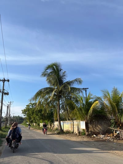 In Alurcucur, Indonesia, a road scene unfolds under a pale blue sky with wispy clouds. The paved road, slightly worn, is flanked by a dirt embankment on the right, which is cluttered with trash and debris. A weathered concrete wall runs along the embankment, adorned with faded colorful graffiti. Several palm trees with lush green fronds stand tall, casting shadows on the ground.
On the road, three motorcycles are in motion. In the foreground, a motorcycle carries two individuals, the passenger wearing a tan hijab. Further down the road, another motorcycle with a single rider heads away from the camera. To the right, a red motorcycle with two occupants is traveling in the same direction as the foreground motorcycle.
To the left of the road, a utilitarian wooden utility pole with electrical wires stretches upwards. The surrounding area is dotted with green trees, suggesting a semi-rural or suburban environment. The overall atmosphere is one of daily life in a tropical setting.