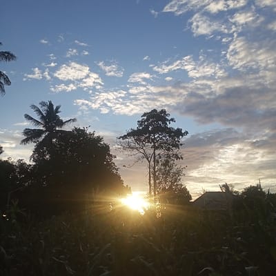 A vibrant sunrise illuminates a rural landscape. Silhouetted trees and crops frame a brilliant sunburst, creating a dramatic interplay of light and shadow. Above, a blue sky is patterned with fluffy white clouds. A glimpse of a thatched roof building is visible amongst the foliage. The scene evokes a sense of tranquility and the beauty of nature.