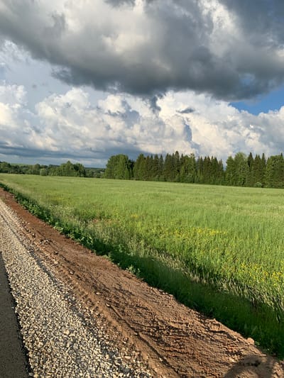 A wide-angle, eye-level shot captures a rural landscape in the village of Svyatitsa, Russia. In the foreground, a dirt road transitions into a gravel path, bordered by lush green grass. This field extends into the midground, dotted with small yellow flowers and leading to a dense line of evergreen trees that forms the background. Above, dramatic storm clouds loom in a partially blue sky. The image is devoid of people or any discernible human activity.