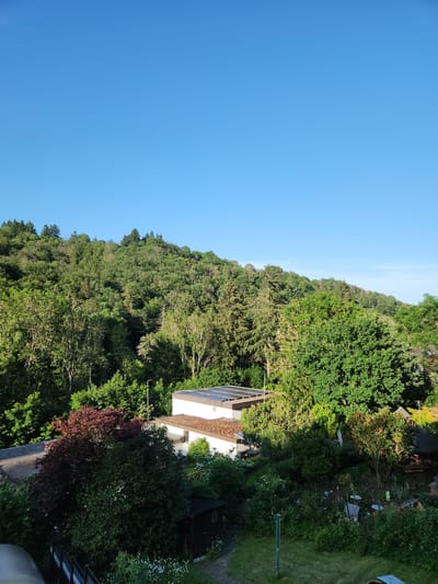 This is an aerial, full-frame, eye-level shot of a residential area on the edge of a densely wooded hill in Idar-Oberstein, Germany. The sky is a clear, vibrant blue. The foreground features a white building with a brown tiled roof and solar panels. To the left of the building, there is a dark wooden shed. The yard is overgrown with lush green vegetation, including trees, bushes, and flowering plants. A wooden fence runs along the left side of the property. Beyond the residential area, a steep, tree-covered hill dominates the background, with various shades of green foliage. The overall impression is one of a peaceful, natural environment integrated with a suburban setting.