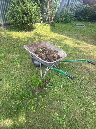 In the city of Trubino SNT, Russia, a scene unfolds in a yard dominated by lush green grass and various foliage. A well-worn, metal wheelbarrow sits prominently in the center of the frame, its basin filled with numerous brown pinecones and a few scattered leaves. The wheelbarrow's handles are painted a faded green, showing signs of rust. To the left of the wheelbarrow, a small, dense green bush stands out against the lawn. In the background, a tall, corrugated metal fence runs horizontally across the image, bordering the property. Behind the fence, trees and more foliage are visible, suggesting a natural, slightly overgrown environment. Two manhole covers are present on the ground in the background, indicating underground infrastructure. The overall impression is one of a garden or yard that has recently been or is about to be tidied, with the pinecones representing collected yard debris. The lighting suggests it is daytime, with dappled sunlight falling on the grass.