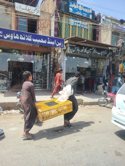 Two young males are walking on a dusty street in Saranan, Pakistan, carrying a large yellow plastic crate filled with live chickens. One boy, wearing a brown shalwar kameez, is carrying the front of the crate, and the other, in a dark outfit, is carrying the back. They are walking past a row of shops with Arabic signage. The shops have large glass storefronts displaying clothing and textiles. A red motorcycle is parked on the side of the road, and a white car is visible in the background. The environment appears to be a bustling marketplace with debris scattered on the ground.