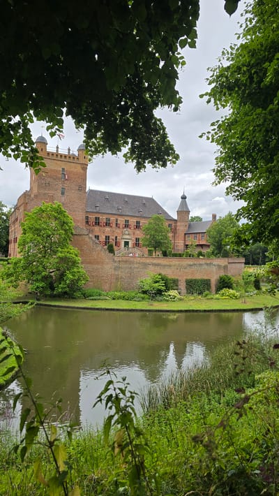 The image shows a castle, likely Huis Bergh in 's-Heerenberg, Netherlands. The castle is constructed of brick and features several towers and a main building with a pitched roof. Red shutters are visible on many of the windows. The castle is surrounded by a moat filled with murky green water, and a brick wall encloses the castle grounds. Lush green trees frame the top and sides of the image, with foliage casting shadows. In the foreground, there is a pond or moat with reflections of the castle and surrounding trees. The sky is overcast.