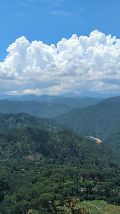 The image depicts a panoramic view of lush, verdant mountains and valleys, with a winding river visible in the distance. The sky is a vibrant blue, dotted with large, fluffy white clouds. The mountains are densely covered in trees, with some appearing to be pine trees. In the foreground, there is a clearing with scattered white objects that could be sheep or rocks, and a single tree. The scene suggests a rural or mountainous area, possibly a national park or a remote region. The location is identified as Phát Chi, Vietnam, implying a setting within that geographical area. No people or specific actions are discernible in the image. The overall environment is natural and serene.