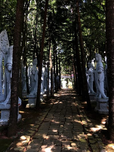 The image shows a pathway lined with statues of robed figures, likely in a sacred or ceremonial setting. The pathway is paved with large, irregular stone slabs, and is flanked by trees with dense green foliage. Sunlight filters through the leaves, casting dappled shadows on the path and the statues. The statues are all white and appear to be made of stone or a similar material. They are arranged in a line, suggesting a procession or a row of guardians. Some of the statues are partially obscured by the trees. In the distance, there appears to be a building or structure with colorful elements, possibly lanterns. The overall atmosphere is peaceful and serene. The image is taken from a low angle, emphasizing the height of the trees and statues. The lighting suggests it is daytime, possibly late afternoon due to the long shadows. The location is identified as Nam Ban, Vietnam. There is no visible text in the image.