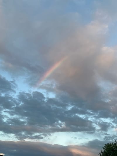 The image captures a wide-angle view of a cloudy sky with a faint rainbow arcing across the upper portion. The clouds are a mix of grays and blues, with some areas illuminated by soft, pinkish light, suggesting either dawn or dusk. The lower part of the image shows hints of green foliage, possibly trees, on the right edge. The sky is dynamic, with textured cloud formations creating depth and movement. There are no people, animals, or man-made structures clearly visible, making the scene primarily a natural landscape focused on atmospheric conditions. The setting appears to be an outdoor environment, possibly a park or open area, given the presence of greenery. The overall mood is serene and ethereal due to the soft lighting and the delicate presence of the rainbow.