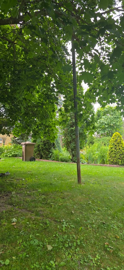The image depicts a well-maintained garden in Drummondville, Canada. In the foreground, a lush green lawn is partially shaded by the dense foliage of a large tree overhead. A tall, weathered metal pole stands vertically in the middle of the lawn. To the left of the pole, a brown trash bin with a single black wheel is situated on the grass. The background features a variety of garden elements, including manicured hedges, flowering plants, and a cone-shaped evergreen tree. The overall scene suggests a peaceful, residential outdoor setting.