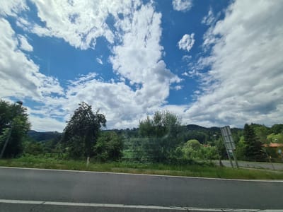 The image captures a scenic view of a rural landscape under a partly cloudy sky. The foreground features a grey asphalt road with white lane markings, suggesting it is a paved route. Beyond the road is a strip of green grass and vegetation. The middle ground is dominated by lush green trees of varying heights and densities, forming a dense treeline that extends across the frame. In the distance, rolling hills covered in dark green forests recede into the background. The sky above is a vibrant blue, interspersed with large, fluffy white clouds, some of which are illuminated by sunlight, creating a dramatic contrast. Several traffic signs, poles, and streetlights are visible along the side of the road. One traffic sign, a white rectangular panel with angled supports, appears to be leaning. Two residential buildings with orange roofs are partially visible nestled amongst the trees on the hillside in the distance. The overall impression is one of a tranquil, natural environment. This scene is likely located in Friedlach, Austria, given the characteristic hilly terrain and verdant vegetation.