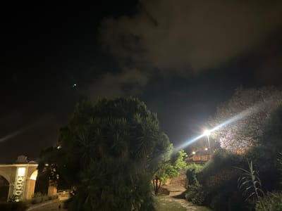 The image captures a nighttime scene in Picassent, Spain, presenting a lush, illuminated landscape under a dark, cloud-strewn sky. The time of day is clearly night, with no natural light visible, and artificial illumination playing a key role in defining the scene.

In the upper left quadrant of the dark sky, a distinct bright green light or object is visible, contrasting with the surrounding darkness and scattered clouds. These clouds are faintly illuminated from below by ambient light.

The foreground and mid-ground are dominated by dense, dark green foliage, including a prominent, large tree with spiky leaves, possibly a palm or yucca, positioned centrally. Various other trees and bushes create a rich, natural environment. A bright street lamp on the right side casts a strong light, creating a significant lens flare and illuminating a section of the canopy, revealing what appear to be purple-flowering trees or bushes.

On the far left, a light-colored stone architectural structure with arches, resembling an old aqueduct or bridge, is brightly lit from below, highlighting its textured surface. A winding pathway or dirt road is visible at its base, leading through the greenery. A small, dark figure, possibly an animal or a distant person, can be seen on this path near the structure. Further into the mid-ground on the right, behind the foliage, a raised platform or walkway with railings is also lit by ambient light from below.

No human activity is explicitly depicted, and the scene appears quiet and still. There is no visible text in the image. The overall impression is one of serene nighttime beauty, with the artificial lights creating a dramatic contrast against the dark landscape and sky.