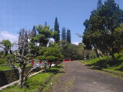 The image displays an outdoor, landscaped scene, identified as being in Nová Bystřice, Czechia. A dark, possibly asphalt, paved pathway originates in the lower right foreground and extends into the midground, showing minor cracks and sparse grass growth. To the immediate left of the path, a prominent, gnarled deciduous tree with twisted, largely bare branches stands next to a low, structured embankment. Further back on the left, a dense arrangement of various trees and shrubs is visible, including broad-leafed species and tall, slender evergreens. In the midground, a low, red-painted decorative bridge or railing structure, consisting of posts and horizontal bars, spans what appears to be a narrow water channel or depression. The pathway continues beyond this structure. The right side of the scene features a grassy slope populated by additional trees with dense, dark green foliage. The background is dominated by a clear, bright blue sky with minimal scattered white clouds. No individuals, animals, or active subjects are discernible within the frame. The scene is illuminated by natural daylight.