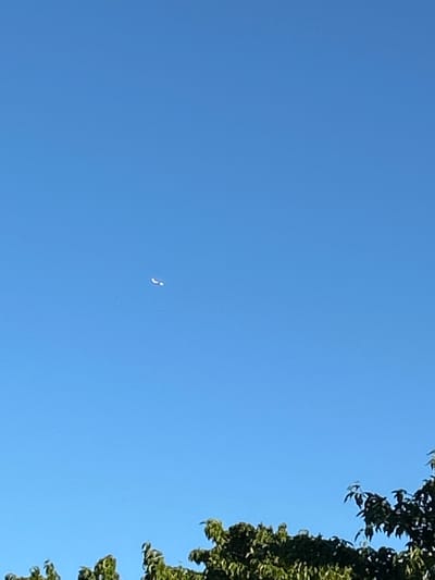 The image displays a bright blue sky, suggesting a clear day with good visibility. On the right side of the frame, the upper branches of a dense, green tree are visible, their leaves catching the sunlight. The sky is largely empty, except for a small, white, crescent-shaped object that appears to be a kite or a balloon. It is positioned in the middle-left of the frame, appearing small against the vast expanse of the sky. The overall impression is one of a peaceful outdoor scene, likely during daylight hours, given the brightness of the sky and the illuminated leaves. There is no visible text in the image.