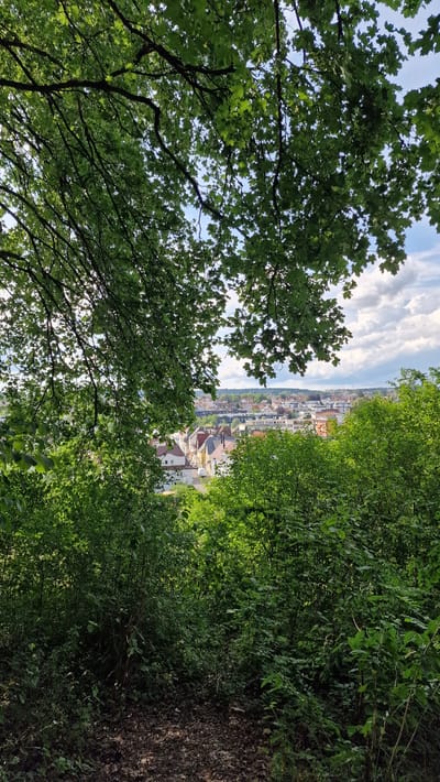 The image depicts a view from a wooded area looking down upon a town. In the foreground, lush green trees and foliage frame the scene, with branches and leaves obscuring parts of the view. The trees on the left are more prominent, with a clear view of their branches and leaves against a partly cloudy sky. On the right, the trees form a dense wall of green.
Beyond the trees, a town is visible in the middle ground. The town features a collection of buildings with red-tiled roofs and white or light-colored walls, suggesting a European architectural style. Some of the buildings appear to be houses, while others might be larger structures or public buildings. A subtle hint of urban infrastructure like roads or faint lines of vehicles can be observed between the buildings.
In the background, a hazy horizon line separates the town from the sky. The sky is a mix of blue with scattered white, wispy clouds, indicating a bright but not entirely clear day, possibly late morning or early afternoon given the lighting. The overall impression is one of a serene natural setting overlooking a settled human environment. There are no people or distinct objects visible, and the focus is on the interplay between nature and the urban landscape. The scene evokes a sense of peace and an elevated perspective, looking down from a higher elevation. No text is visible in the image. The location context of Villingen-Schwenningen, Germany, aligns with the observed architectural style of the town.