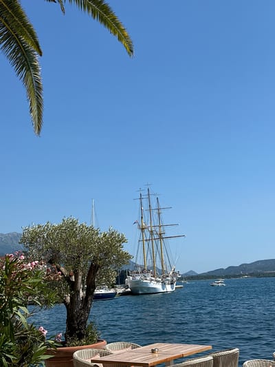 This image depicts a scenic view of a harbor in Donja Lastva, Montenegro, on a clear, sunny day. The main subjects are a majestic sailing ship with multiple masts docked in the calm, blue water, and a small white boat further out. In the foreground, palm fronds and a flowering tree with pink blossoms frame the scene. To the right, part of a wooden table and chairs suggest a waterfront seating area.
The setting is clearly a marina or bay, with lush green hills rising in the background, indicating a coastal Mediterranean environment. The bright blue sky and clear water suggest fair weather and a pleasant time of day, likely late morning or early afternoon. There is no specific activity or event taking place beyond the usual harbor activities of docked ships.
Notable details include the intricate rigging of the sailing ship and the weathered appearance of the tree. The overall mood is one of tranquility and natural beauty, enhanced by the vibrant colors of the sky, water, and foliage. No visible text is present in the image.