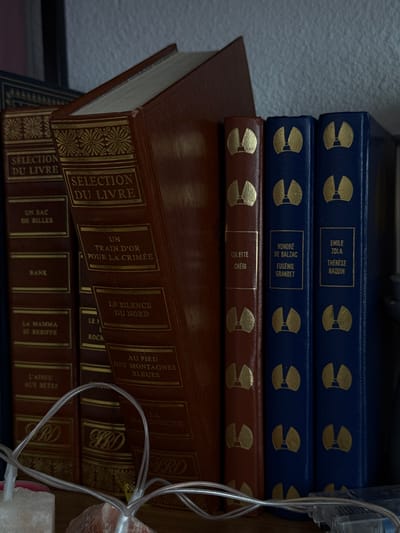 The image depicts a close-up of a bookshelf filled with books. The books are arranged in a row, with some in the foreground and others in the background. The bindings of the books vary in color, including dark red and blue, with gold lettering and decorative elements. Some of the titles visible on the spines include "SELECTION DU LIVRE," "UN SAC DE BILLES," "BANK," "LA MAMMA SE REBIFFE," "L'ADIEU AUX BETES," "UN TRAIN D'OR POUR LA CRIMEE," "LE SILENCE DU NORD," "AU PIED DES MONTAGNES BLEUES," "COLETTE CHERI," "HONORÉ DE BALZAC EUGENIE GRANDET," and "EMILE ZOLA THERESE RAQUIN." In the foreground, partially obscuring the lower part of the books, are several thin, translucent strings of lights and two pieces of rough, pinkish-white rock, possibly salt crystals or geodes. The background shows a textured, gray wall and a dark vertical surface. The lighting is dim, casting shadows and highlighting the gold lettering on the book spines. The overall scene suggests an indoor setting, possibly a home or a library, with a focus on the collection of books.