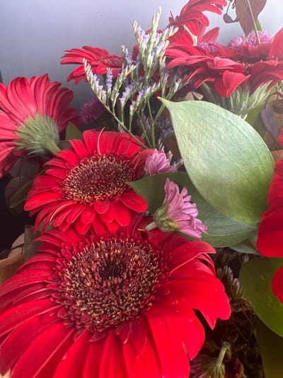 A close-up, high-angle shot captures a vibrant bouquet of red gerbera daisies and delicate purple statice flowers, interspersed with lush green leaves and smaller pink blossoms. The bouquet is arranged in a wicker basket, partially visible at the bottom left. The background is a plain, light grey wall, suggesting an indoor setting. The lighting is soft and natural, casting gentle shadows and highlighting the textures of the petals and leaves. The image does not contain any people. The scene appears to be in a home or flower shop in Hadera, Israel.
