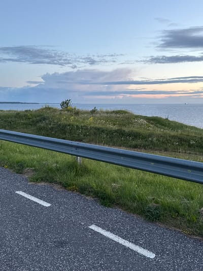 The image shows a coastal road in Paldiski, Estonia, at dusk. The foreground features a dark asphalt road with white lane markings. A metal guardrail runs along the side of the road, separating it from a grassy embankment. The embankment is covered in lush green grass, dotted with small white wildflowers and some yellow flowering plants. Beyond the embankment, a calm, grey sea stretches out to the horizon, meeting a sky painted with soft hues of blue, grey, and pale pink. Wispy clouds drift across the sky, and a distant ship can be seen on the water. The overall scene depicts a serene, natural landscape at the edge of the town.