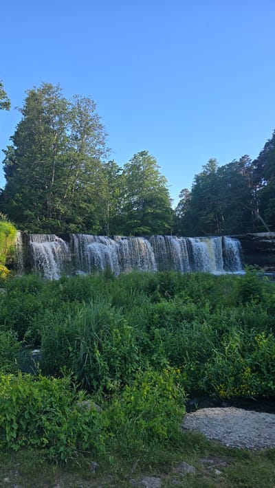 The image shows the Keila waterfall in Keila-Joa alevik, Estonia. The waterfall is a wide, multi-tiered cascade with water flowing over a rock ledge. Lush green vegetation, including tall grasses and trees, surrounds the waterfall. The sky above is clear and blue. There are no people or animals visible in the image. The scene depicts a natural landscape with a prominent geological feature.