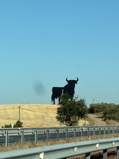 The image shows a large, black silhouette of a bull standing on a golden, harvested field under a clear blue sky. The bull is positioned on the crest of a hill, with its horns prominent and its body facing left. In the foreground, a highway barrier with metal railings runs horizontally across the bottom of the frame. Beyond the field, a dirt road curves upwards into a treed area. The scene appears to be a roadside view, possibly taken from a moving vehicle. This iconic bull, known as the Osborne Bull, is a well-known landmark in Spain, and this particular one is located near Honrubia, Cuenca, Spain, serving as a prominent roadside advertisement and symbol of Spanish culture. There are no people visible in the image.