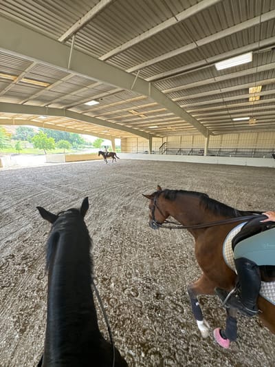 The image depicts an indoor equestrian riding arena located in Rancho Murieta, United States. The scene is observed from the perspective of a person mounted on a dark-colored horse, whose head and neck occupy the lower left foreground. To the right, a bay horse is partially visible from the chest back, equipped with a brown bridle, an English saddle with a light blue quilted saddle pad, and a rider's lower left leg in a black riding boot with a stirrup iron. The bay horse's right foreleg wears a black protective boot, and its right hind hoof is covered by a pink bell boot.
In the midground, a third horse, also bay, is actively being ridden by a person in a light-colored top and dark helmet, trotting or cantering across the sand footing towards the left. The arena floor is covered in light-brown sand, showing numerous hoof prints.
The arena structure features a high, corrugated metal roof supported by beige steel beams and trusses, with rectangular fluorescent light fixtures mounted overhead. The left side of the arena is open, revealing an outdoor area with green trees and vegetation under a bright sky. The far and right walls of the arena are light-colored, with a set of stairs visible in the far-right background. The overall environment is well-lit by a combination of natural and artificial light.