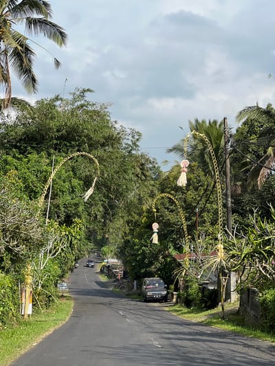 A straight, paved road winds through a verdant, tropical landscape under a cloudy sky. The road is flanked by dense green foliage and tall palm trees. Along the roadside, several decorative, arching structures made of woven straw and bamboo are erected, adorned with tassels and ornate ornaments. A few small, rural buildings are visible nestled amongst the trees. A black SUV is parked on the side of the road, and a dark-colored car is driving away in the distance. The scene appears to be a street in Pupuan, Indonesia, decorated for a local festival or celebration.