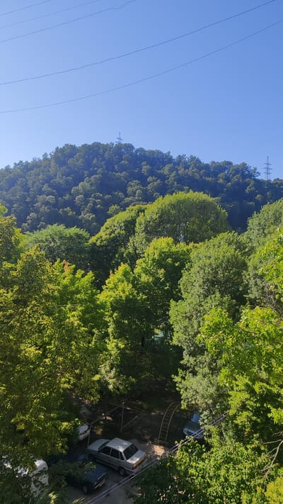 The image depicts a lush, green hillside covered in dense trees, likely in Dagomys, Russia, given the context. The sky above is a clear, bright blue, suggesting a sunny day, likely during daytime. In the foreground, a variety of trees with vibrant green foliage are visible, some casting shadows on the ground below.

Beneath the canopy of trees, several objects are present, indicating human activity and settlement. There are at least three cars parked on a dirt or gravel area. One car is a light-colored sedan, another appears to be a darker sedan, and a third vehicle is partially visible. Some scattered debris or gardening elements, like a raised planter box, are also seen. A yellow, curved ladder or slide-like structure is also present, possibly part of a playground. Power lines are visible stretching across the top of the image, suggesting the presence of infrastructure. In the distance, the hillside is covered with trees, and at least two pylon-like structures, likely electricity pylons, are visible on the ridge line against the blue sky. The overall impression is one of a natural landscape integrated with a residential or semi-rural setting on a clear, pleasant day.