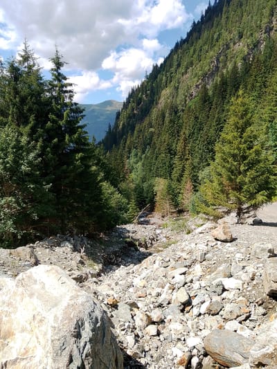 The image depicts a rocky, debris-filled streambed or gully winding through a steep, forested mountainside. Tall evergreen trees densely cover the slopes, with some sparse deciduous trees interspersed among them. The foreground is dominated by large, light-colored boulders and a profusion of smaller grey and white rocks. A narrow stream is visible in the middle ground, flowing through the rocky terrain. The background reveals a hazy mountain range under a partly cloudy sky. The scene is characteristic of a mountain environment, possibly a hiking trail or a natural disaster area in Bramberg am Wildkogel, Austria, given the visual elements of rocky terrain and dense coniferous forests typical of the region. There are no people or animals visible in the image.