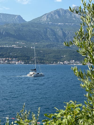 A bright, clear day is depicted with a vast blue ocean in the foreground, a catamaran sailing on the water, and a coastal town nestled at the base of a lush, green, mountainous landscape. The catamaran, a white twin-hulled sailboat, is moving from left to right, leaving a gentle wake. It has a tall mast with sails furled and appears to have several people on deck. In the mid-ground, the town features buildings with white and red-tiled roofs, clustered along the shoreline. The background is dominated by steep, rocky mountains covered in dense green vegetation. The scene is framed on the right by the vibrant green leaves of an olive tree. The photograph was taken from a slightly elevated viewpoint, looking towards the bay.