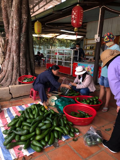 An outdoor market scene unfolds in Nam Ban, Vietnam, dominated by a large tree trunk on the left. The ground is paved with terracotta tiles and covered in sections by a striped cloth. Several individuals are engaged in commerce. In the foreground, a woman in dark blue attire kneels on a red stool, appearing to weigh avocados on a scale. A large pile of avocados is spread across the striped cloth in front of her. Beside her, a red basket overflows with avocados, and another red basket is positioned to her right, also filled with the green fruit.
Further back, a woman in a light pink jacket and white hat crouches, interacting with another person whose hands are visible, holding a plastic bag possibly containing avocados. A customer wearing a blue shirt and denim shorts stands nearby, facing away from the camera, wearing a bucket hat with a pineapple pattern. To the right, a person in a purple top and black pants stands with their back to the camera. In the background, stalls with shelves display various items. A red lantern with white floral motifs hangs from the ceiling, and a yellow lantern is visible further to the left. A man in a dark shirt and mask leans against a counter in the background. The overall atmosphere suggests a bustling local market.
