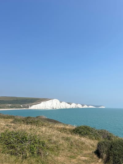The image depicts a scenic view of the Seven Sisters cliffs near Seaford, United Kingdom. The foreground is dominated by dry, golden-brown grass and green bushes, suggesting a sunny day. In the mid-ground, the turquoise sea stretches out, meeting the iconic white chalk cliffs of the Seven Sisters. These cliffs form a dramatic series of undulating shapes along the coastline. The background is a clear, bright blue sky. No people or animals are visible in the image. The overall environment is natural and coastal.